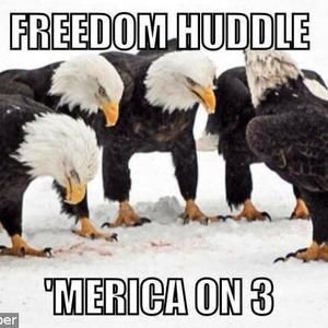 Meet your Posher, Devin